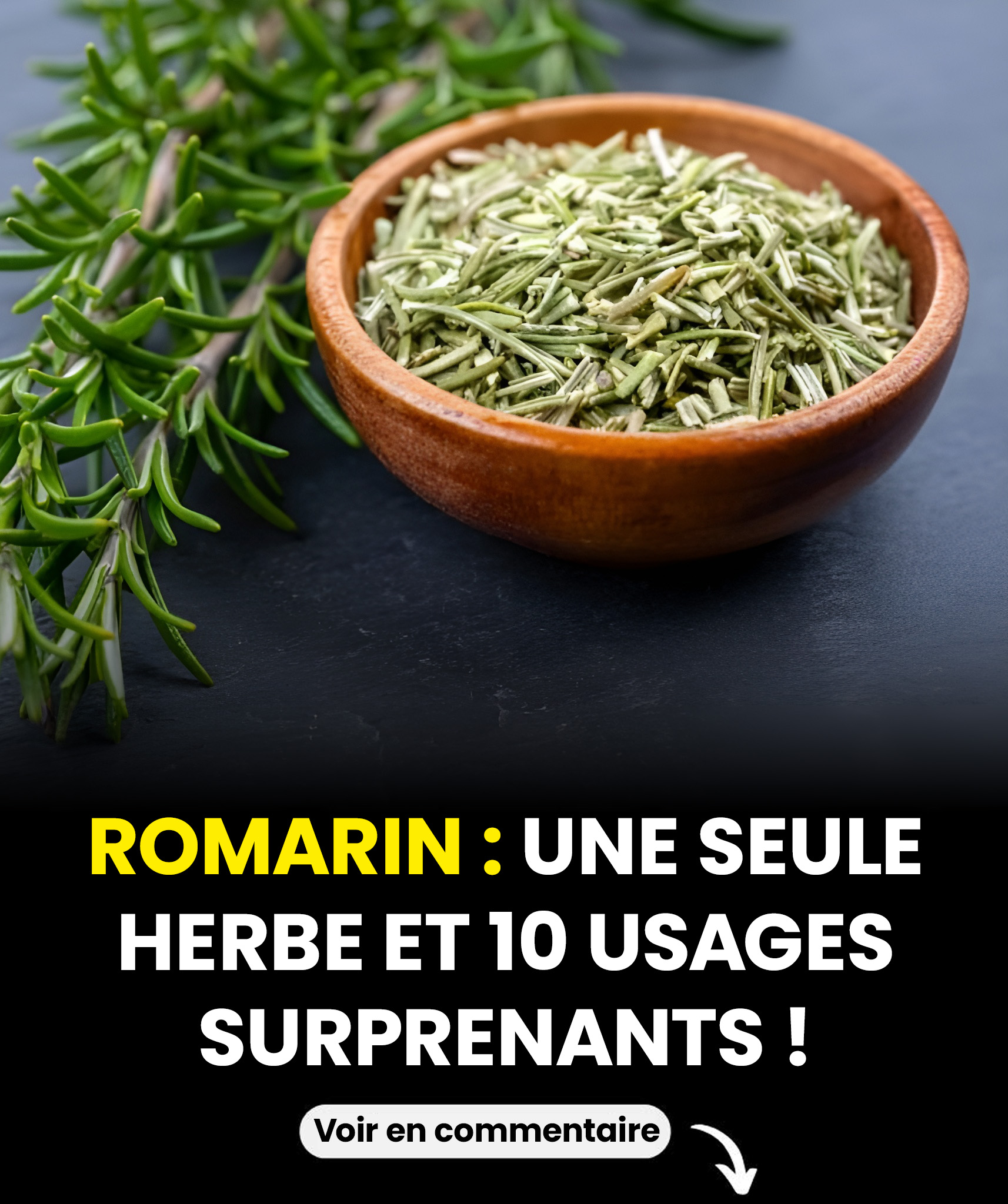 Le romarin : une plante aux utilisations étonnantes