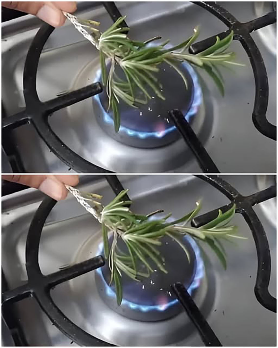 Le secret du romarin : comment sa fumée peut transformer l’atmosphère de votre maison et apaiser votre esprit