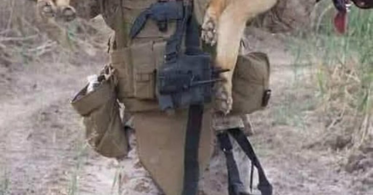 Le soldat qui a porté son meilleur ami sur douze kilomètres