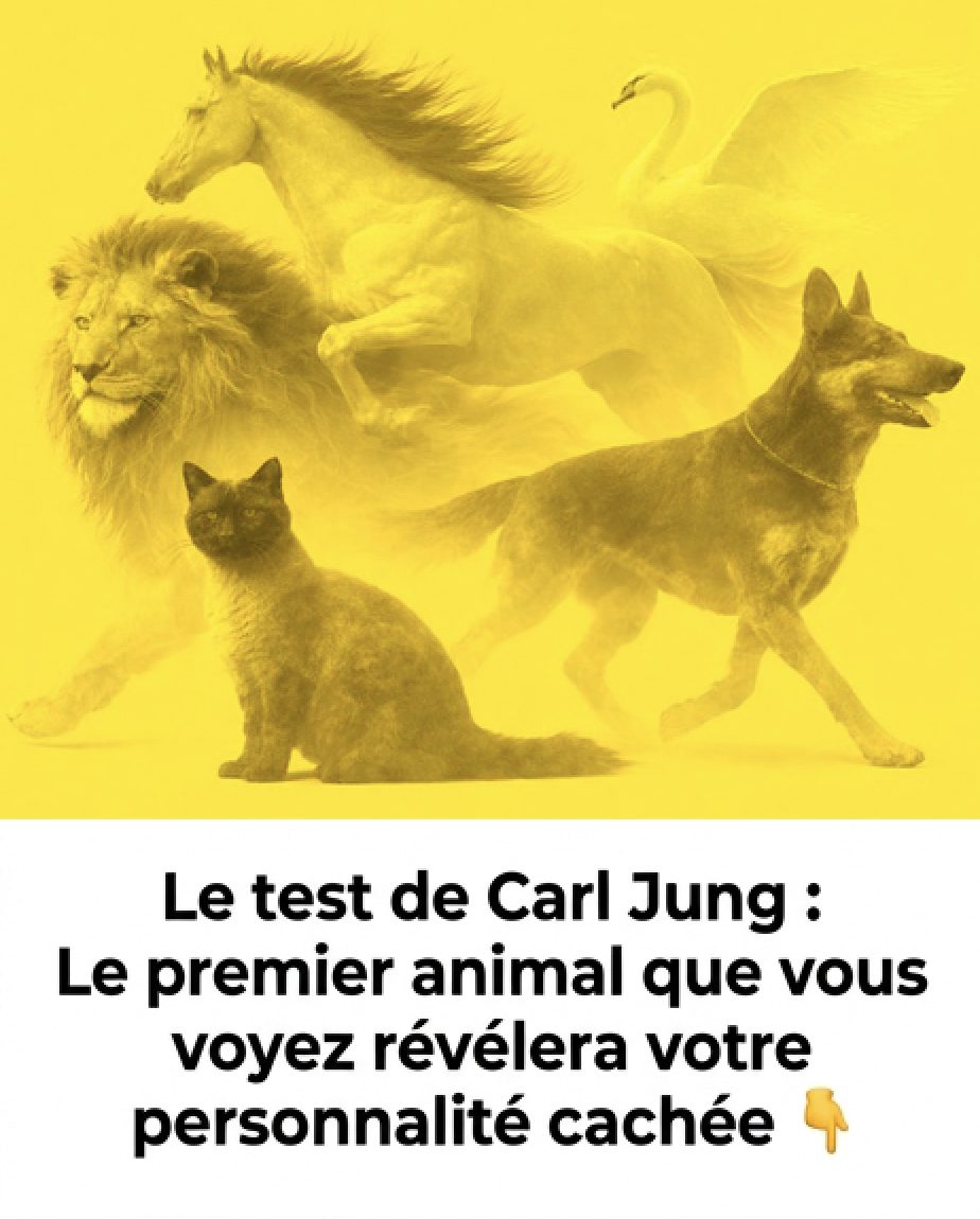 Le test de Carl Jung : l’animal que vous voyez en premier révélera votre personnalité cachée