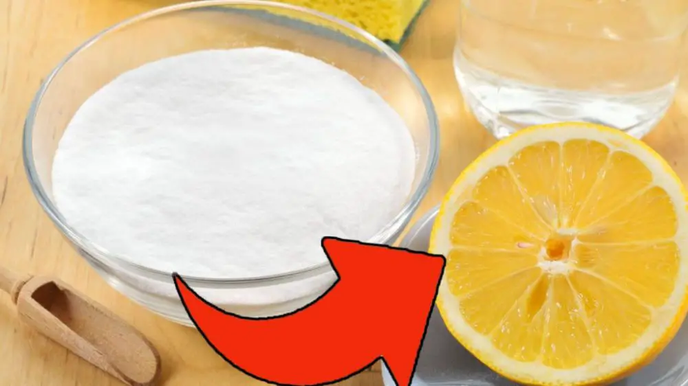 Le duo citron-sel : l’astuce de grand-mère qui révolutionne votre ménage sans produits chimiques