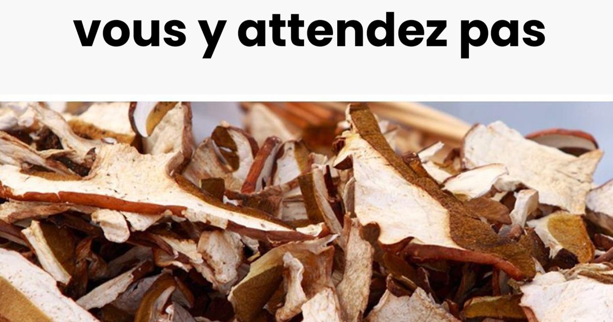 Les aliments les plus riches en vitamine D : lesquels privilégier dans votre alimentation pour renforcer vos os, vos muscles et votre système immunitaire ?