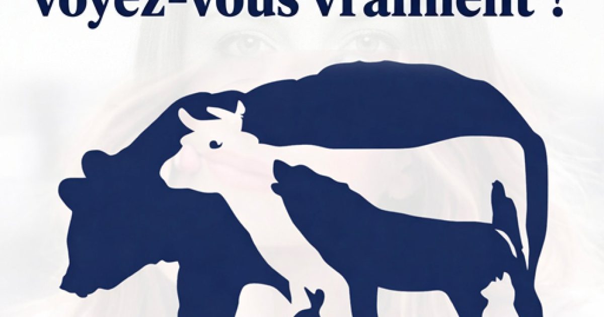 Les animaux que vous voyez révèlent si vous êtes une personne chanceuse ou non