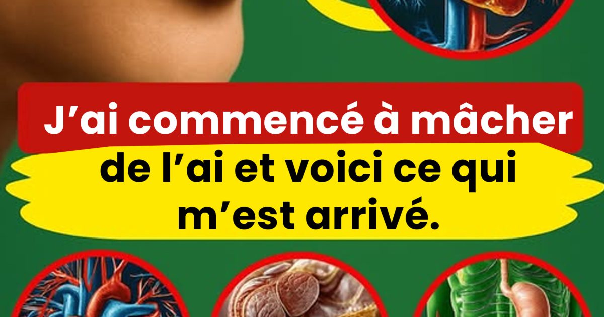Les bienfaits de l’ail