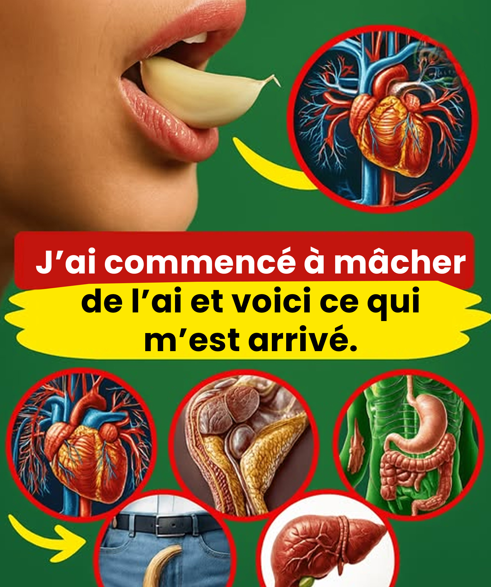 Les bienfaits de l’ail