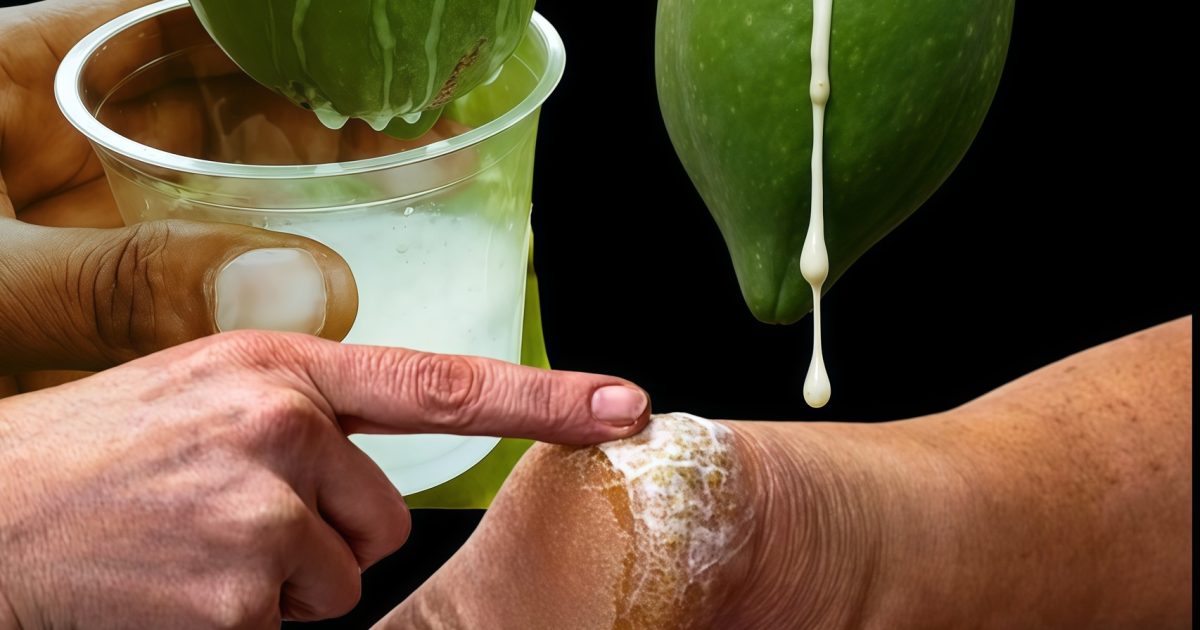 Les bienfaits étonnants du lait de papaye pour la santé et comment l'utiliser