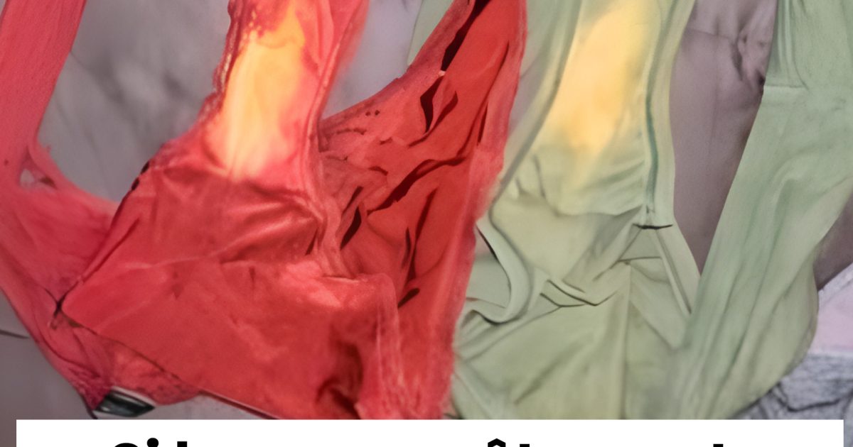 Les facteurs cachés qui influencent la décoloration de la zone de l’entrejambe dans les sous-vêtements…