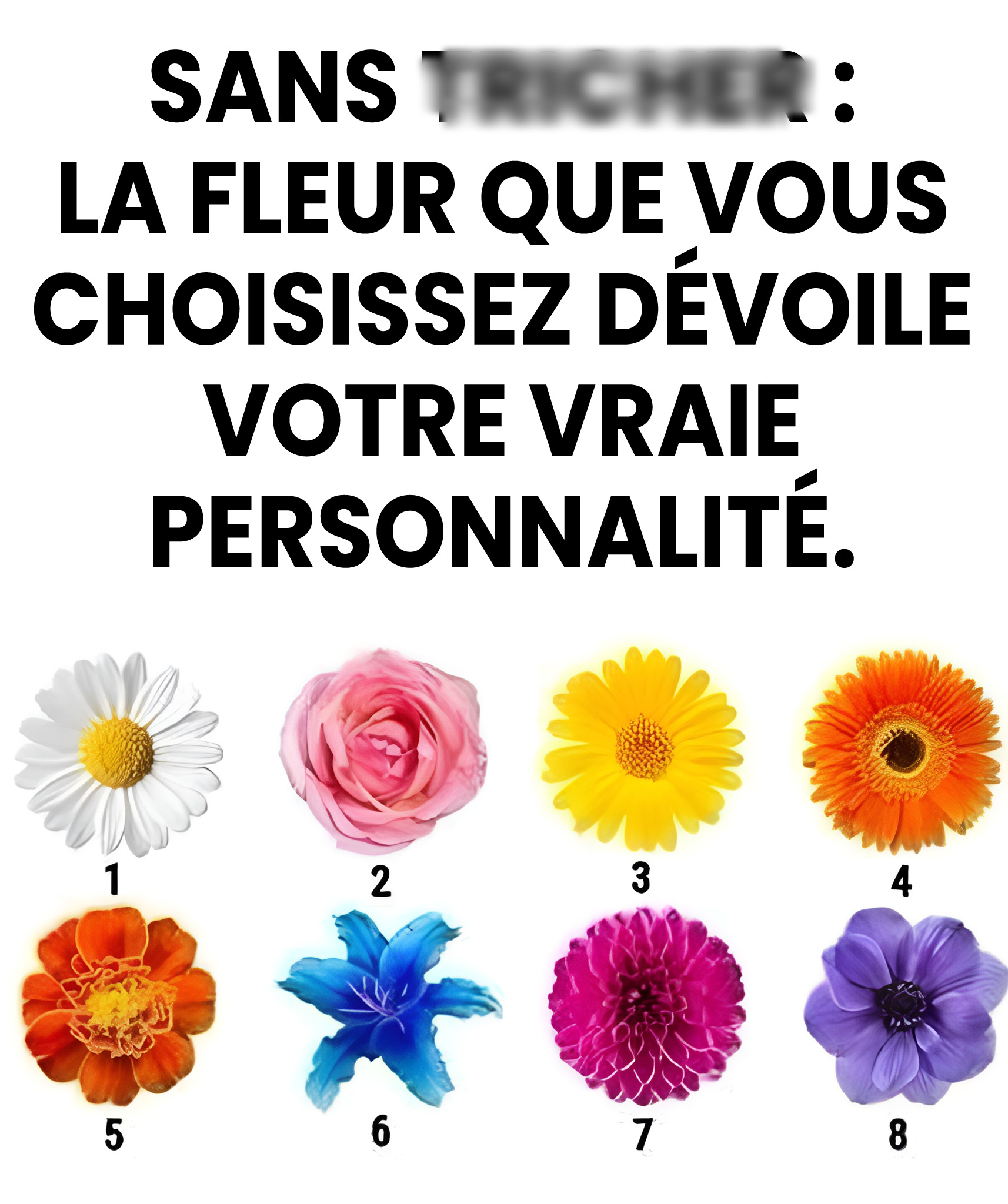 Les fleurs que vous préférez dévoilent des traits secrets de votre personnalité
