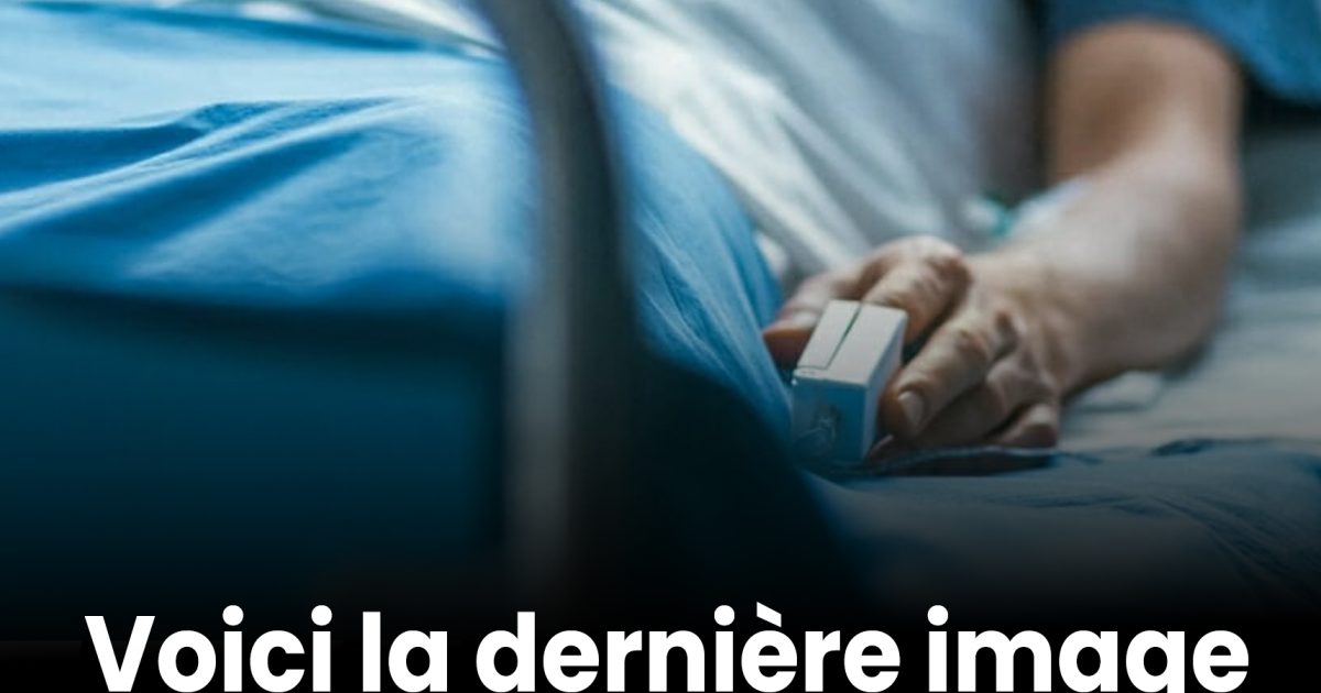 Les neurologues révèlent enfin ce que le cerveau voit juste avant la mort