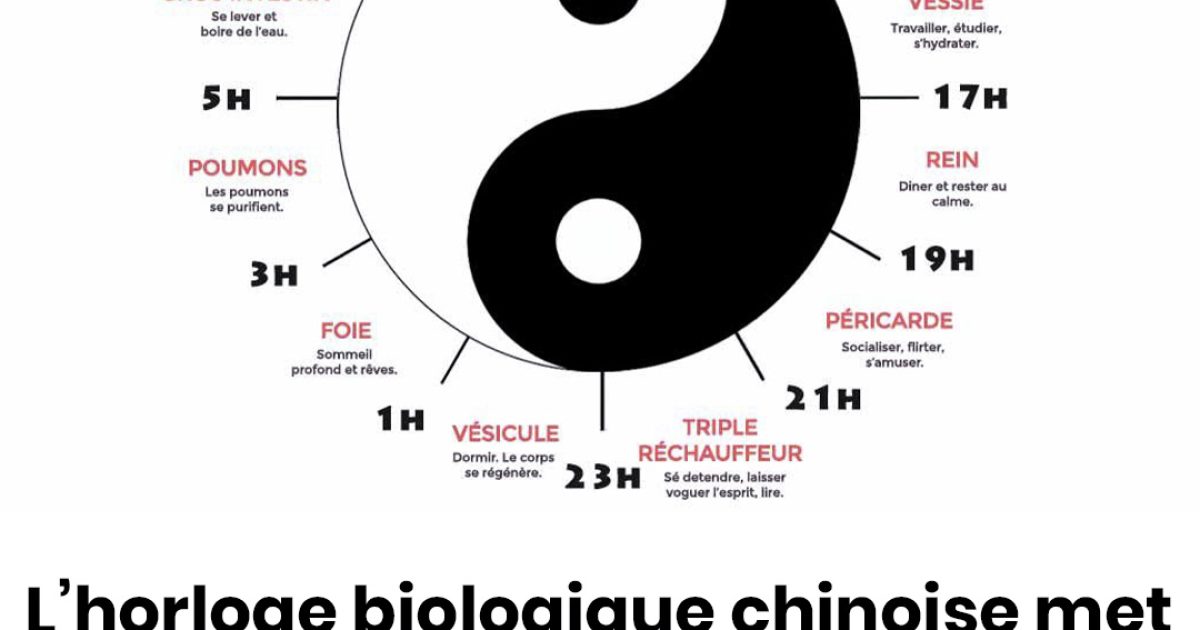L’horloge biologique chinoise met en lumière les raisons de nos réveils nocturnes et propose des solutions pour y remédier