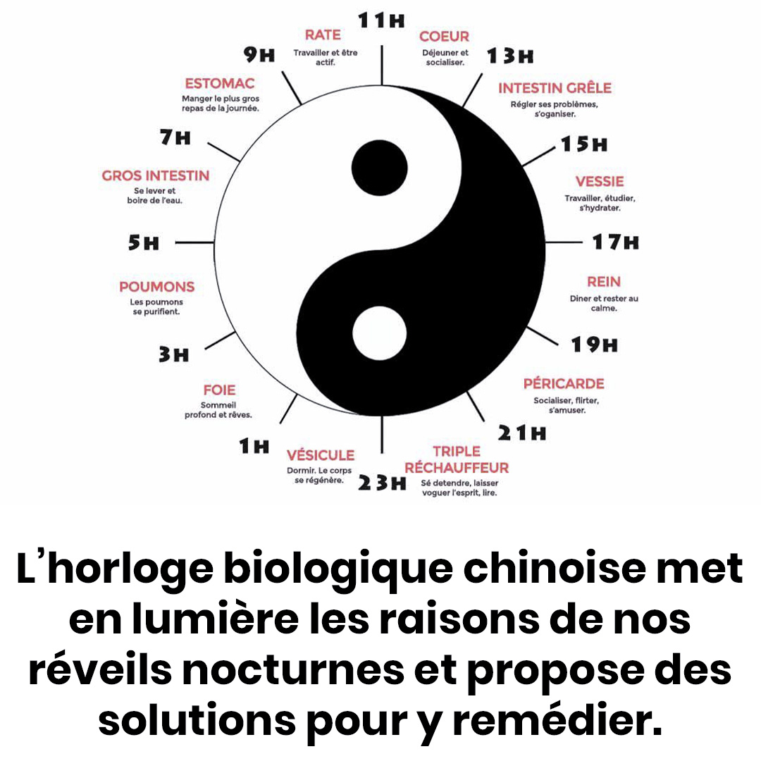 L’horloge biologique chinoise met en lumière les raisons de nos réveils nocturnes et propose des solutions pour y remédier