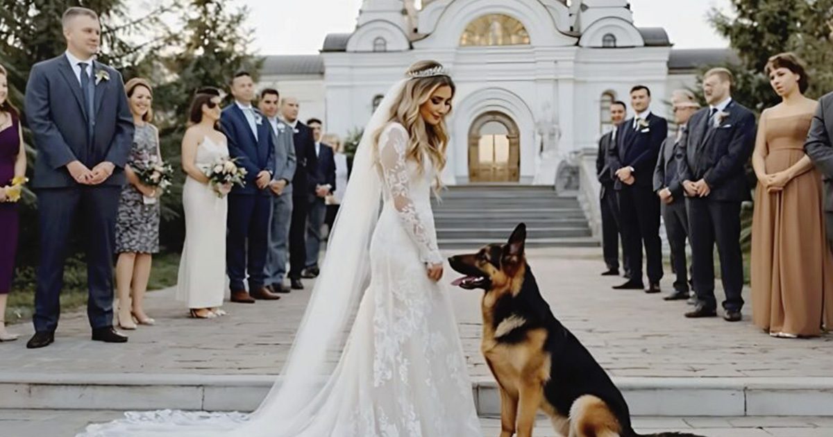 Lors de la cérémonie, le chien s’est soudainement interposé devant la mariée et s’est mis à aboyer sans relâche