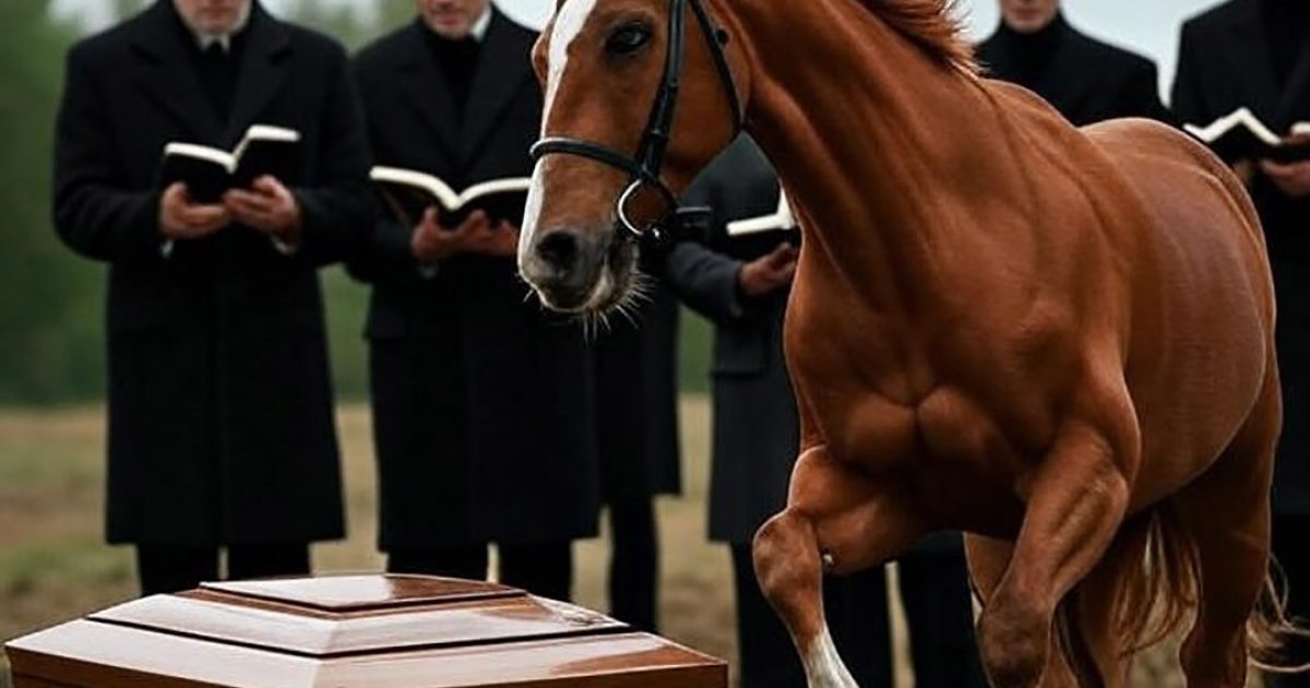 Lors des funérailles, un cheval surgit des bois et se précipita droit vers le cercueil ; les personnes présentes furent bouleversées en découvrant la raison d’un tel geste