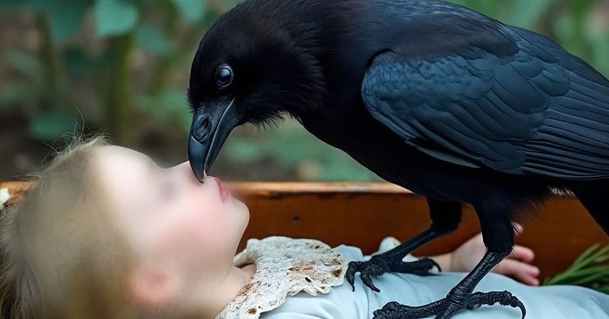 Lors des funérailles, un corbeau s’est posé sur le cercueil de la jeune fille
