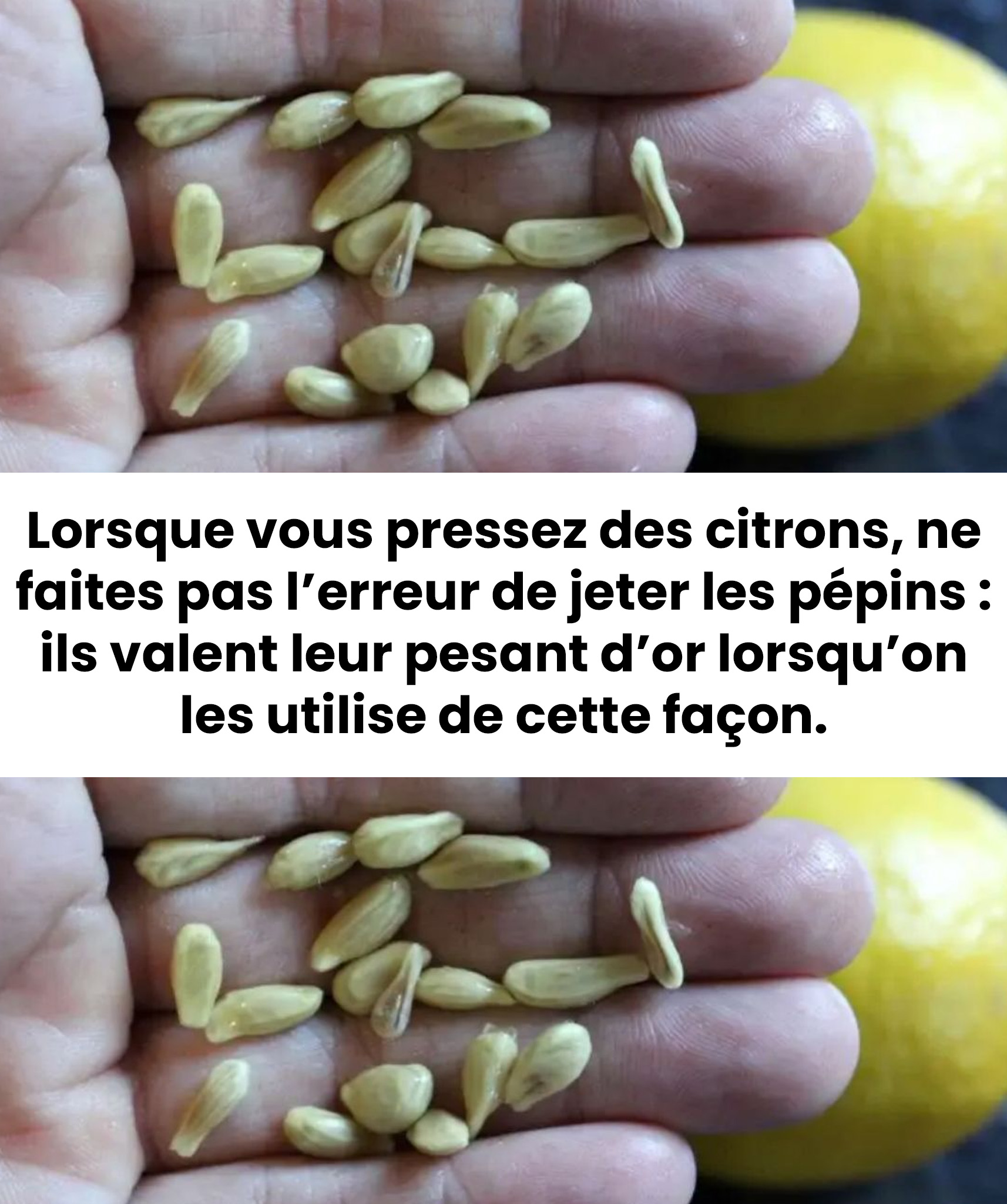 Lorsque vous pressez des citrons, ne faites pas l’erreur de jeter les pépins : ils valent leur pesant d’or lorsqu’on les utilise de cette manière
