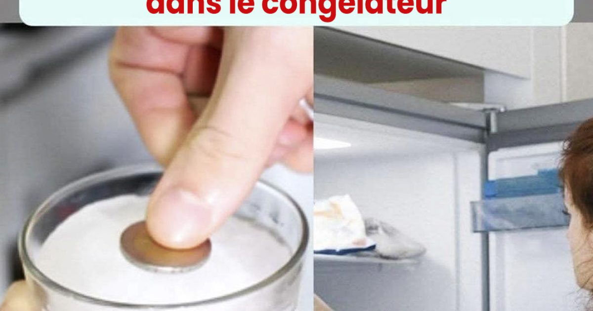 Lorsque vous vous absentez de votre domicile pendant plusieurs jours, n’oubliez pas de mettre une pièce dans le congélateur.