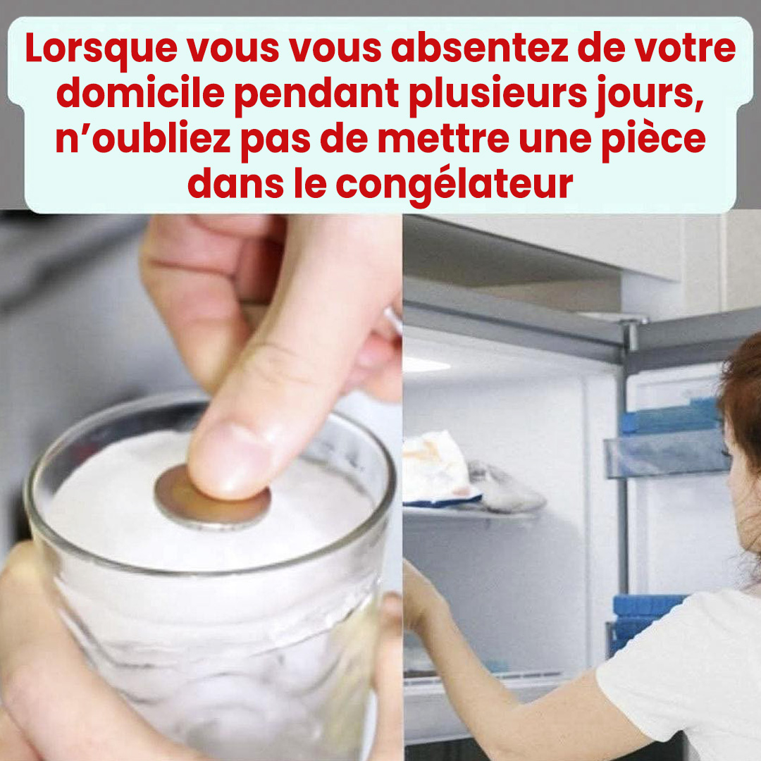 Lorsque vous vous absentez de votre domicile pendant plusieurs jours, n’oubliez pas de mettre une pièce dans le congélateur.