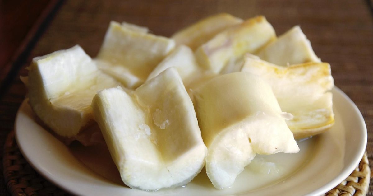 « L’un des aliments le plus mortels au monde » tue plus de 200 personnes par an et pourtant 500 millions de personnes en consomment encore