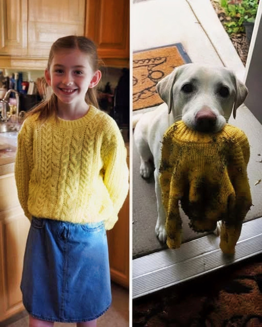 Ma fille de 10 ans est décédée… puis notre chien a retrouvé son pull et m’a menée vers une découverte totalement inimaginable