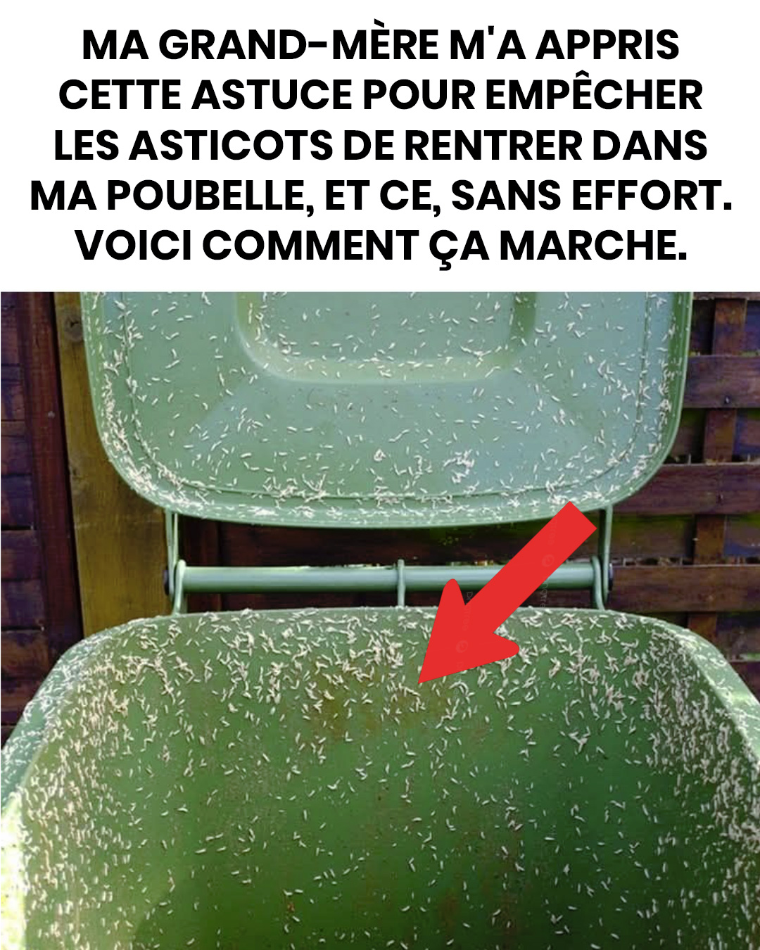 Ma grand-mère m’a appris cette astuce pour empêcher les asticots d’envahir la poubelle. Cela demande presque aucun effort. Voici comment ça marche