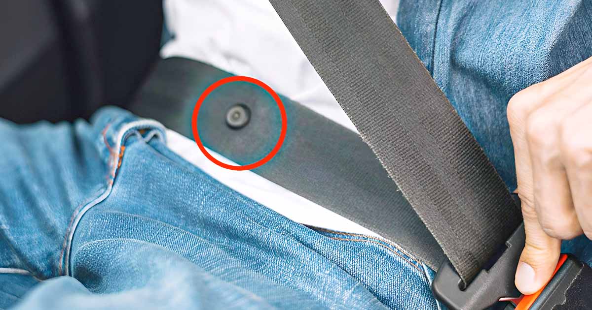 Ce bouton discret sur votre ceinture de sécurité cache une fonction bien plus utile que vous ne l’imaginez