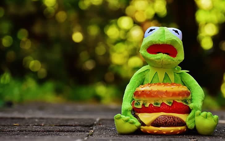 Alimentation déséquilibrée et ses conséquences