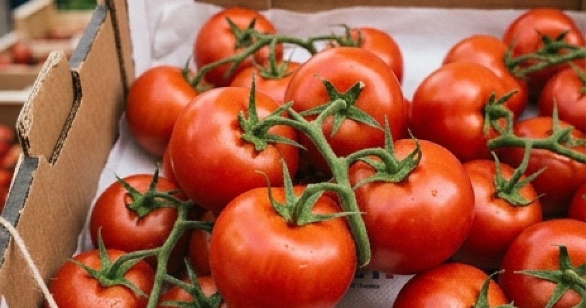 Manger des tomates : quels bienfaits ?