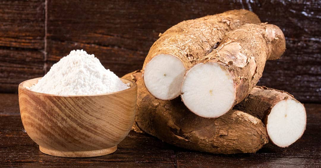 Manioc, poison ou trésor ? L’étrange dualité d’une racine qui sauve et qui tue