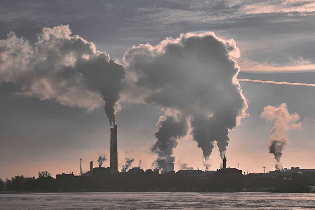 Cancer du pancréas : derrière la flambée des cas, les scientifiques explorent des pistes inattendues