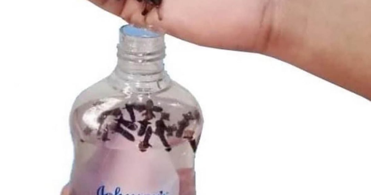 Mélangez de l’huile pour bébé avec des clous de girofle, et vous obtiendrez le meilleur répulsif contre les moustiques