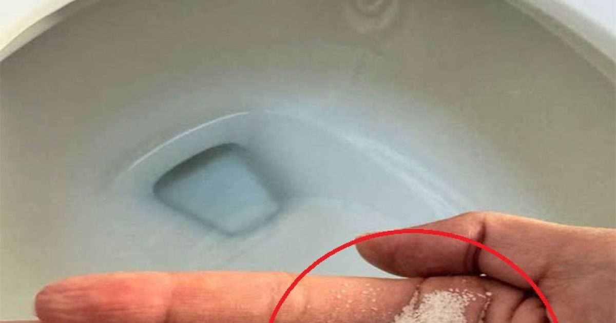 Mettez du sel dans vos toilettes. Voici pourquoi