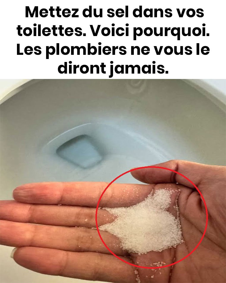 Mettez du sel dans vos toilettes. Voici pourquoi