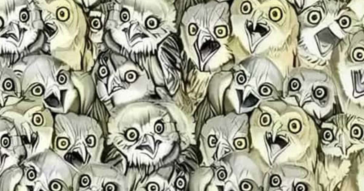 Mettez votre vue à l’épreuve : saurez-vous repérer le chat dissimulé dans cette illusion d’optique ?