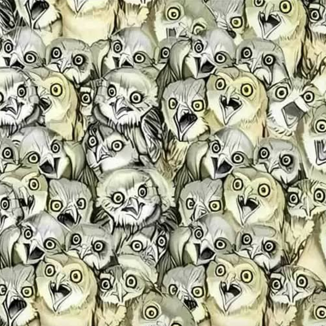 Mettez votre vue à l’épreuve : saurez-vous repérer le chat dissimulé dans cette illusion d’optique ?