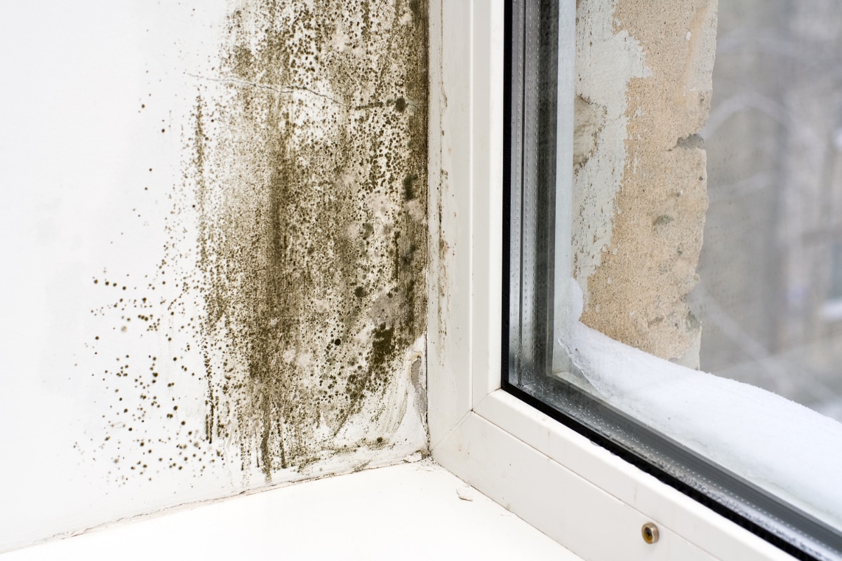 Deux produits du placard pour dire adieu aux taches noires sur vos murs