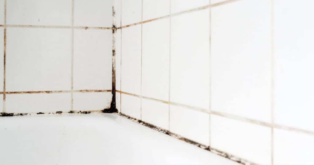 Moisissures dans les joints de salle de bain