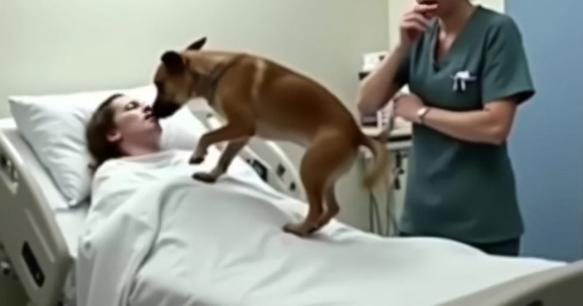"Mon chien est resté à mes côtés à l’hôpital"