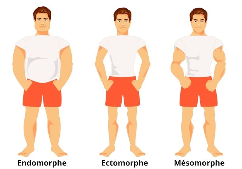 Votre morphologie en dit long sur vous : êtes-vous plutôt fine, équilibrée ou enveloppée ?