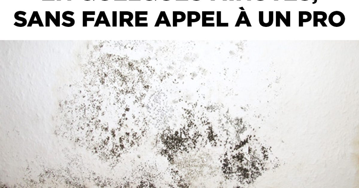 Mur moisi ou qui s’écaille ? Réparez-le facilement en quelques minutes !