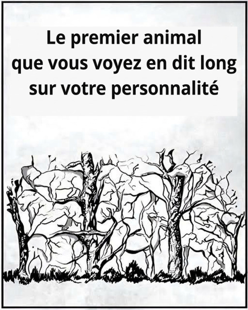 Test de personnalité : le premier animal que vous voyez révèle qui vous êtes vraiment