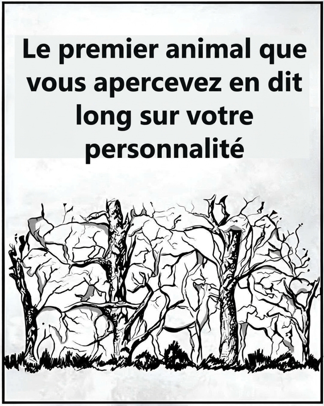 Le premier animal que vous voyez révèle des traits insoupçonnés de votre personnalité