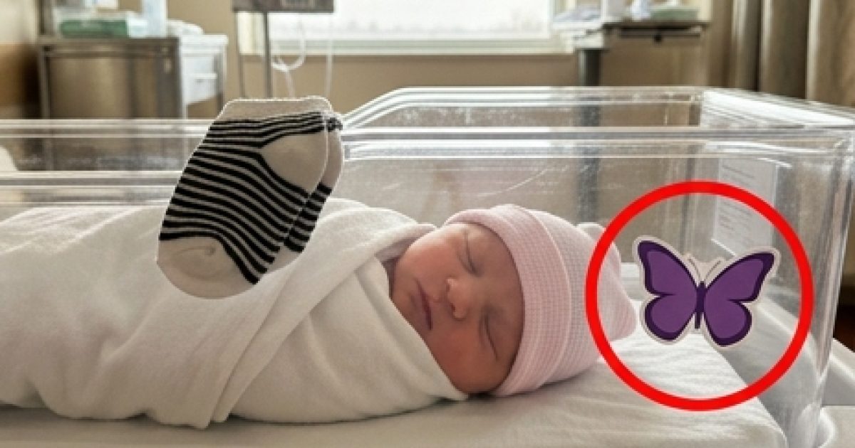Le papillon violet sur les incubateurs : voici ce que ce petit autocollant signifie vraiment