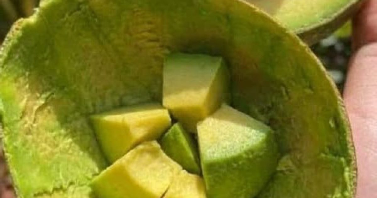 Ce que les médecins révèlent vraiment sur l'avocat quand on en mange souvent