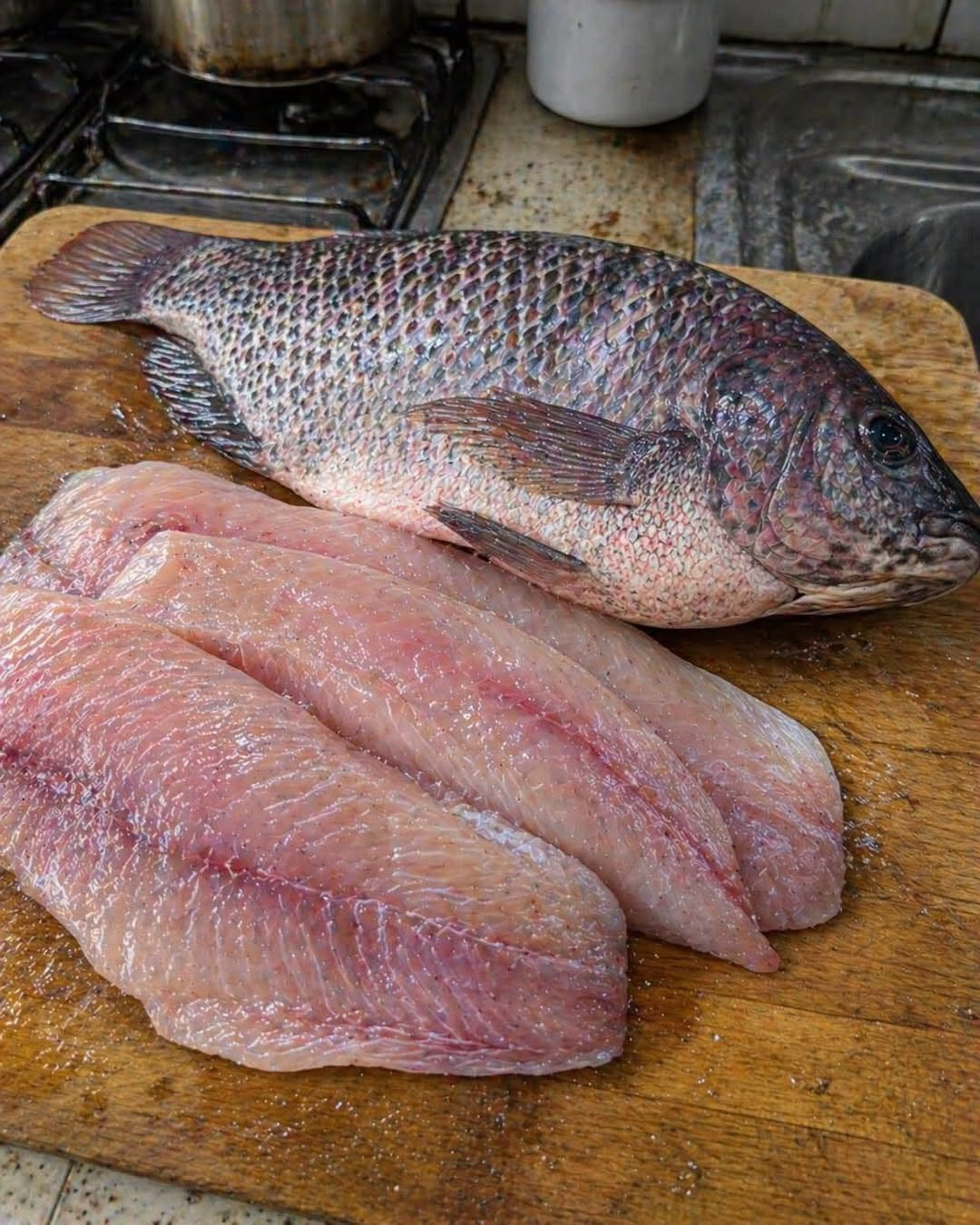 Tilapia : ce poisson bon marché est-il vraiment bon pour la santé ?