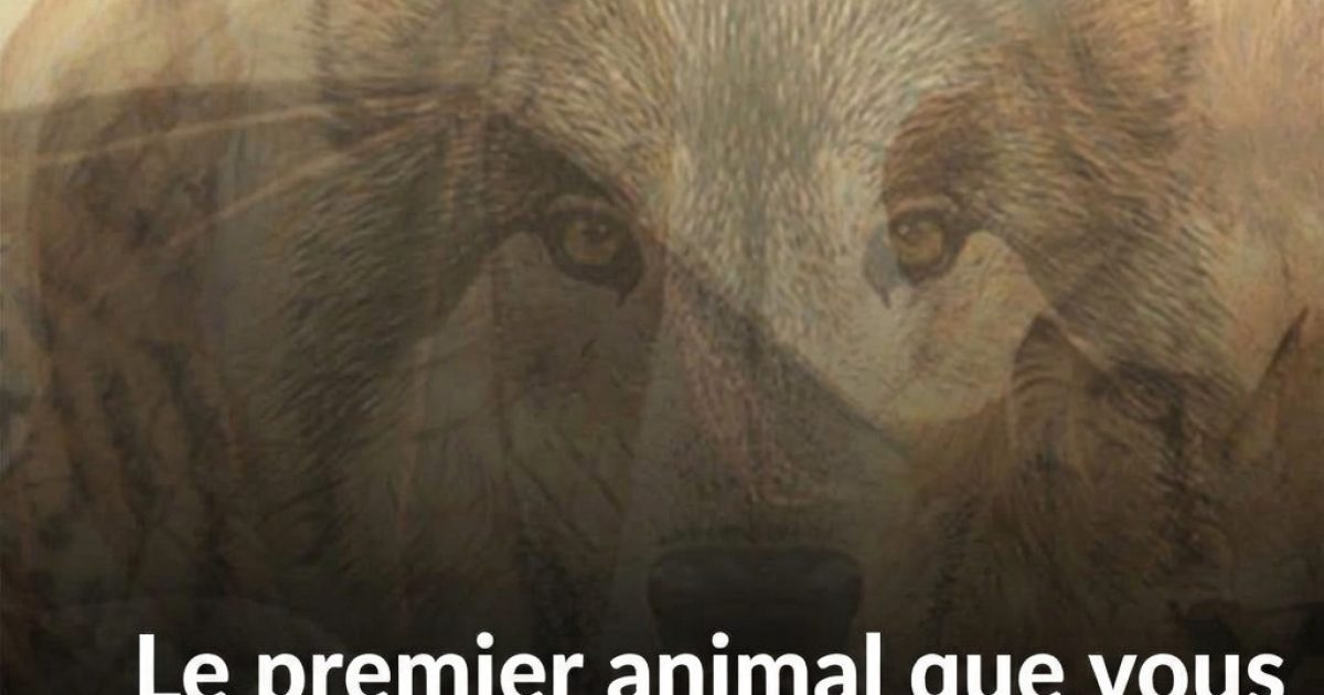 Test visuel : le premier animal que vous voyez révèle votre vraie personnalité