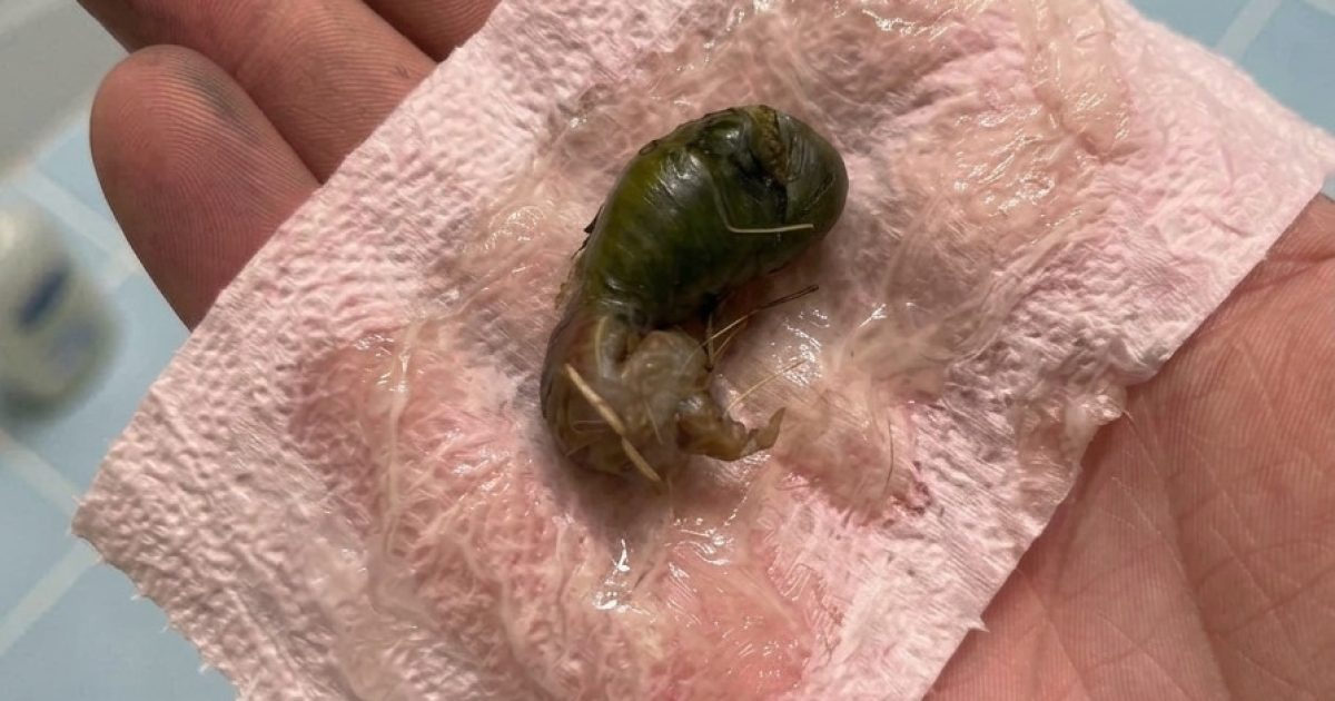 Elle trouve un objet mystérieux dans sa salle de bain : toute la famille est perplexe pendant 20 minutes