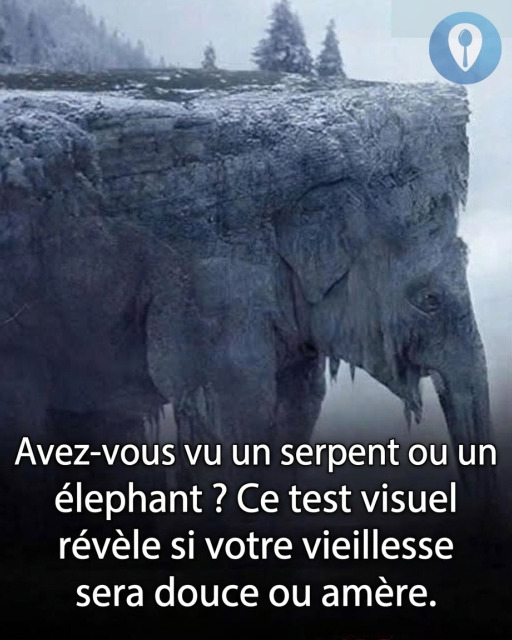 Test de personnalité : vous voyez un serpent ou un éléphant en premier ? La réponse en dit long sur vous