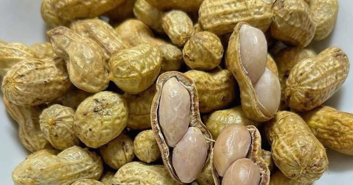 Cacahuètes : ce que les médecins révèlent vraiment sur leur consommation quotidienne