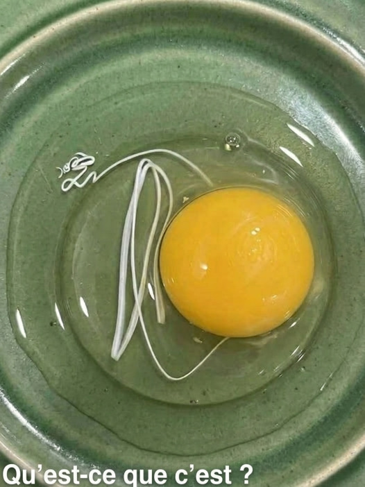 Ce fil blanc dans votre œuf vous a fait peur ? Voici ce que c'est vraiment
