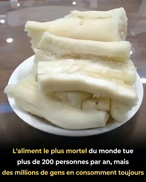 L'aliment le plus mortel du monde consommé par 500 millions de personnes : ce qu'il faut absolument savoir